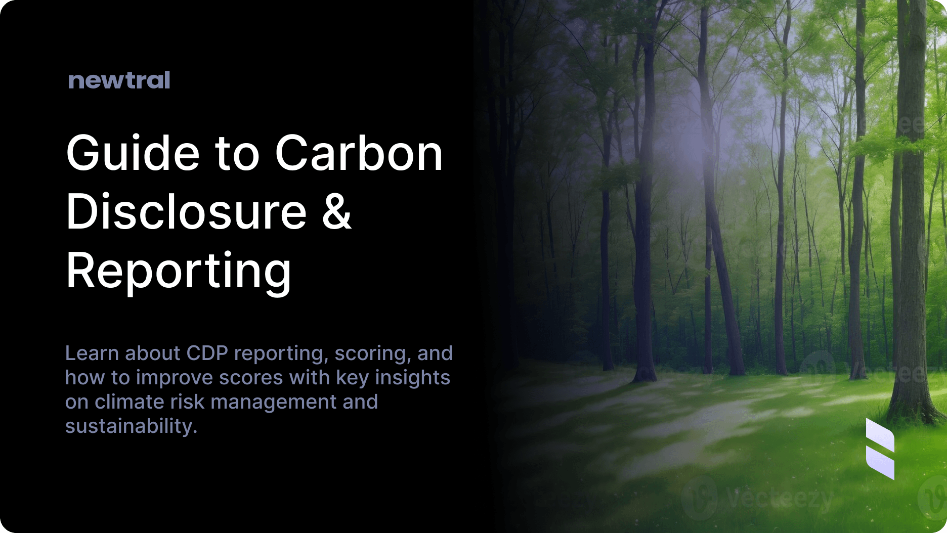 CDP Simplified | A Comprehensive Guide to the Carbon Disclosure Project