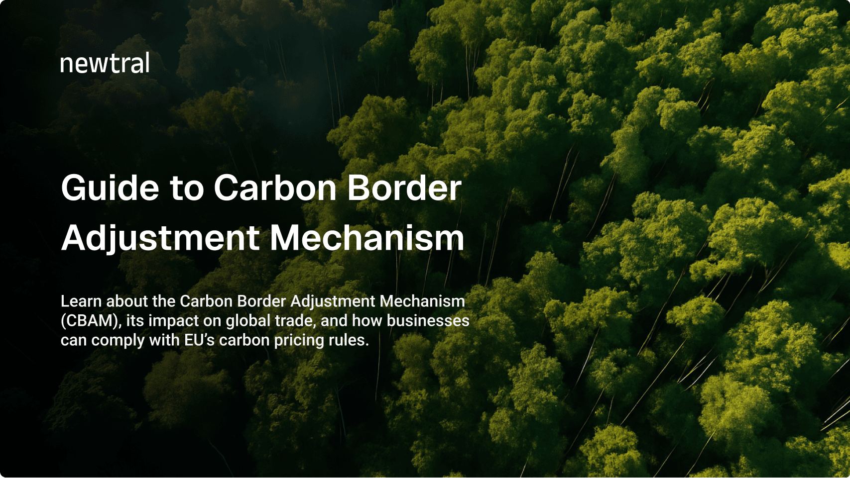 Carbon Border Adjustment Mechanism (CBAM): A Complete Guide for Businesses